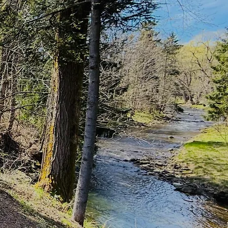Villa Stodola W Potoku - Luksusowa Otoczona Strumieniem Z Linia Brzegowa 120 M-